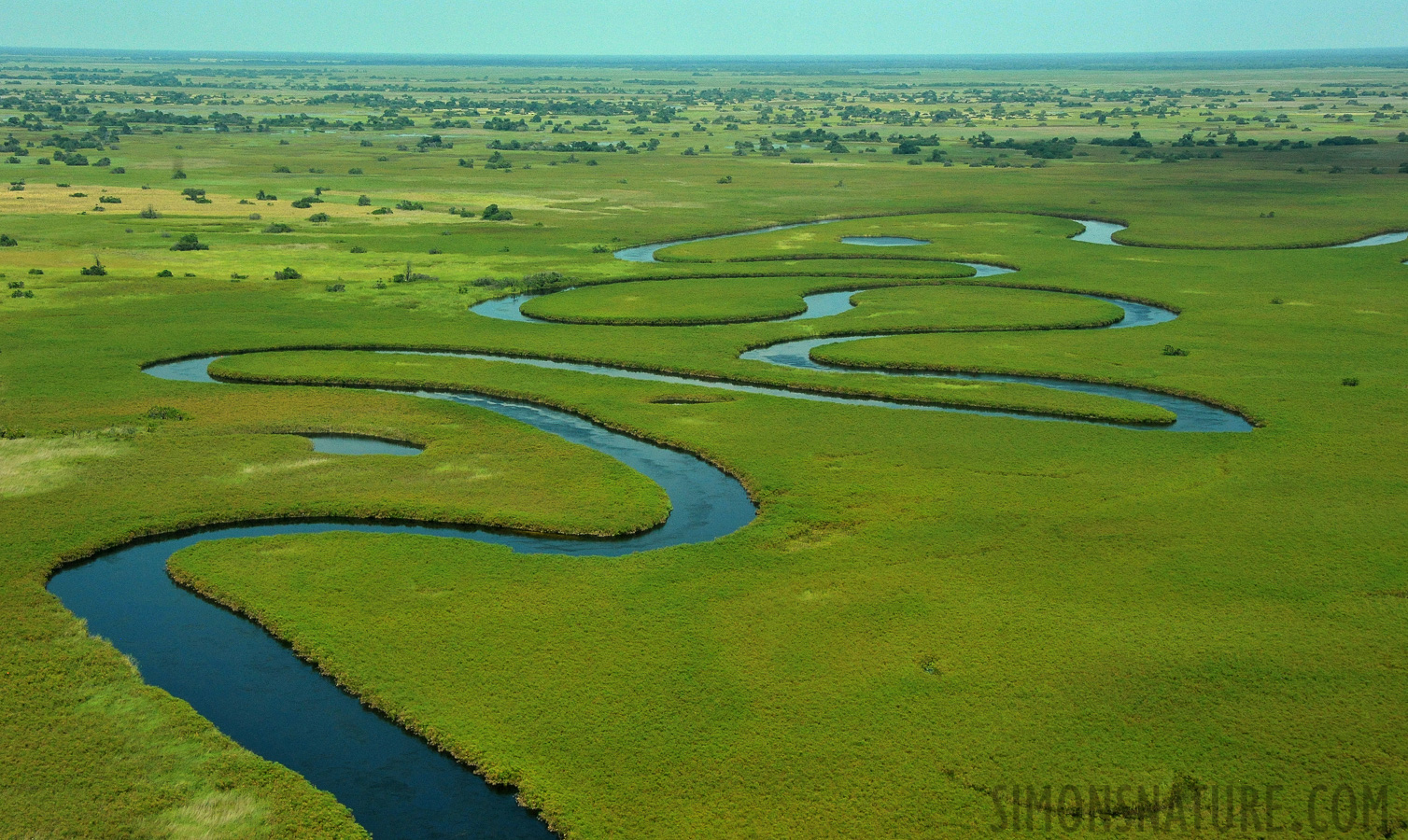 Okavango Delta Mai 2014 [56 mm, 1/5000 Sek. bei f / 8.0, ISO 2500]